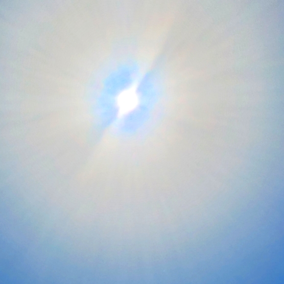 Meet your Posher, Mimi🇨🇦 - Picture 1 of 2